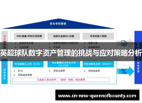 英超球队数字资产管理的挑战与应对策略分析