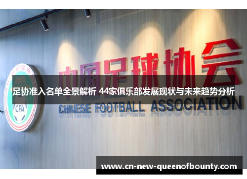 足协准入名单全景解析 44家俱乐部发展现状与未来趋势分析