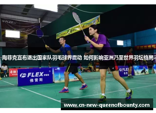 陶菲克宣布退出国家队羽毛球界震动 如何影响亚洲乃至世界羽坛格局