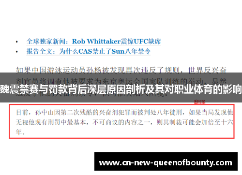 魏震禁赛与罚款背后深层原因剖析及其对职业体育的影响