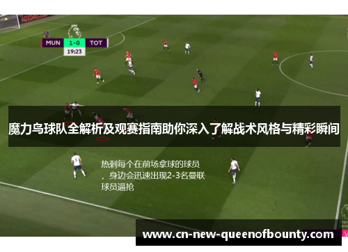 魔力鸟球队全解析及观赛指南助你深入了解战术风格与精彩瞬间